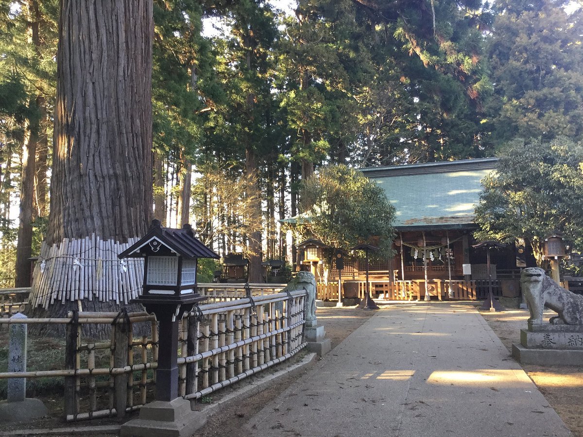 ⛩️ 히다카 신사 (히타카 진자) 이미지 7